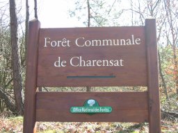 forêt communale